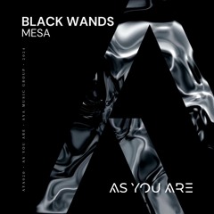 Black Wands - Mesa [As You Are]