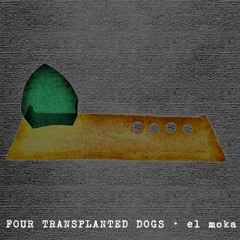 Four transplanted dogs (feat.Shamoozey)