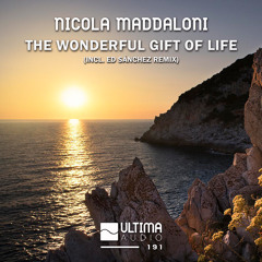 Nicola Maddaloni - The Wonderful Gift Of Life (Ed Sánchez Remix)