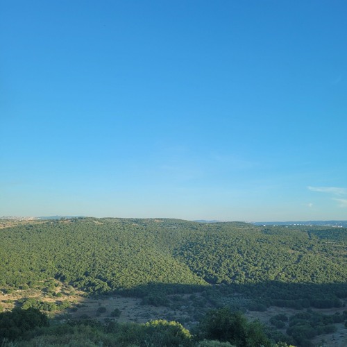 Shavora Israel 3/2023.mp3
