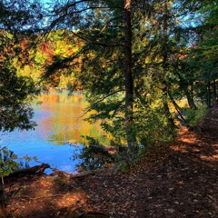 Love is the Essence of Life