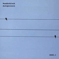 Premiere: Wunderblock - Schwarzgerät (Pre-Launch) [Ibid.]