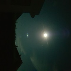 Dead Of Night