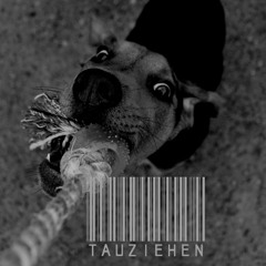 PhaBBa - TauZiehen (Prod. by szendzie)