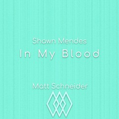 Shawn Mendes - In My Blood (Matt Schneider Remix)