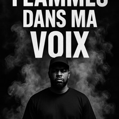flammes-dans-ma-v.mp3