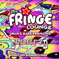The Fringe Lounge Promo Mix