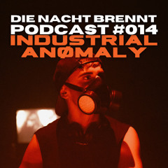 #014 - INDUSTRIAL ANØMALY- DIE NACHT BRENNT PODCAST