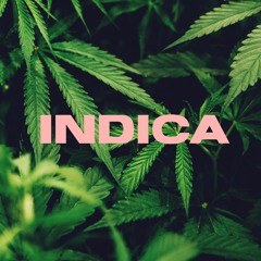 Indica ( Chill Hop type beat)