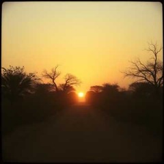 Dust Trails