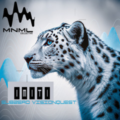 IMITI- SUBZERO VISION QUEST