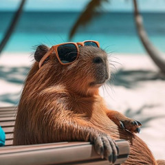 Musical taste #01 by HByn