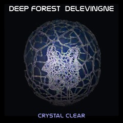 Crystal Clear (feat. Olivier Delevingne)