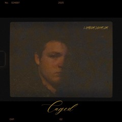 Night Drive  (ChillIDAN)