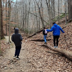 Autumn Leaves (trio)