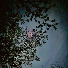 in a coma, buried deep under water