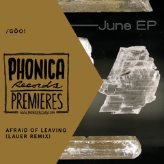 Phonica Premiere: /GÖO! - Afraid Of Leaving (Lauer Remix) [MUSEX - FARMWAY]