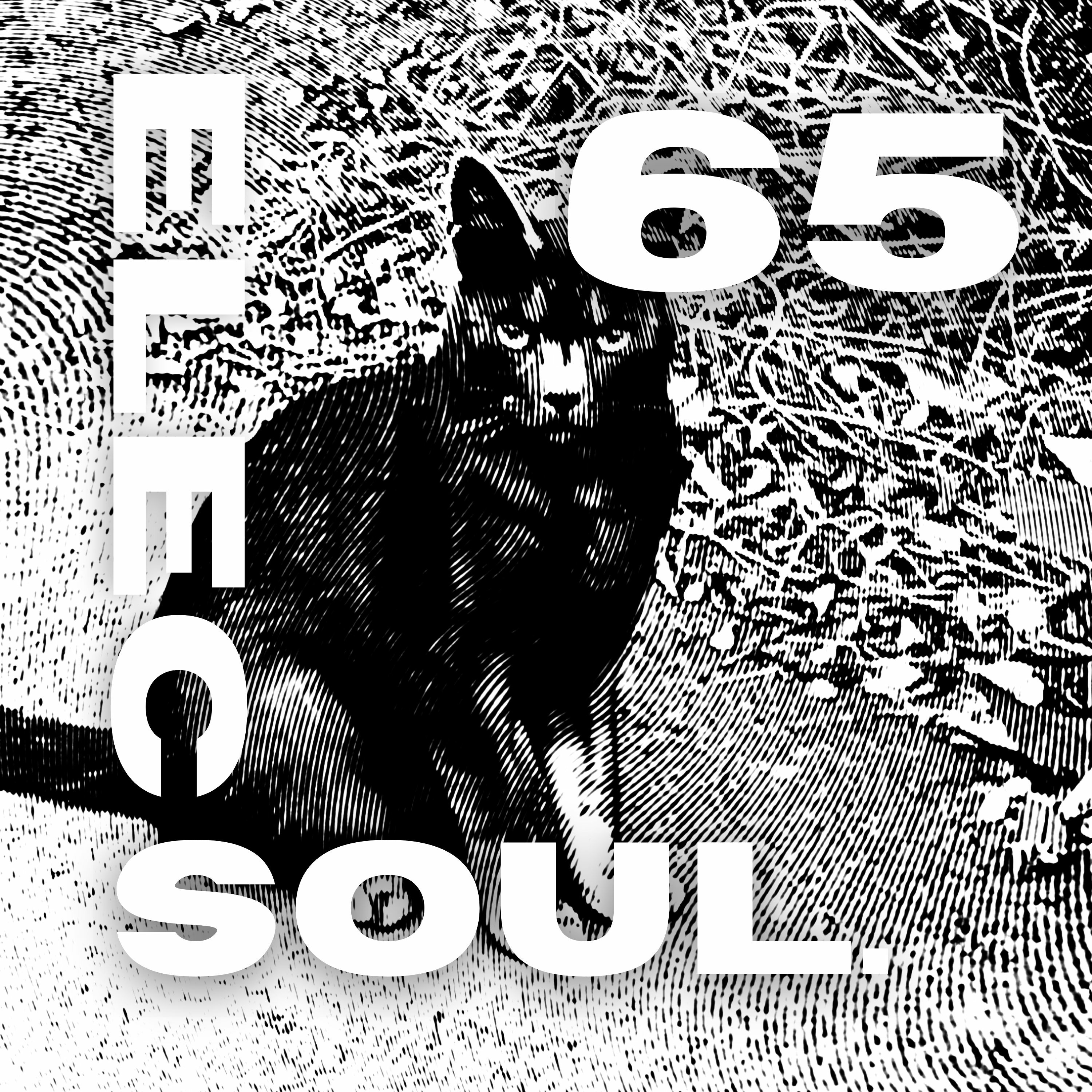 ElecSoul