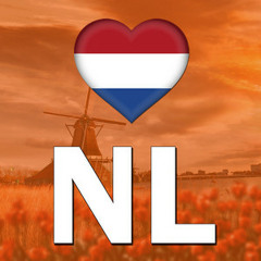 Meezingers 2024 • Hollandse Hits • NL • Café • Nederlandstalig • Kroeg • Feestmuziek