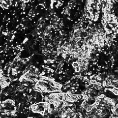 Heart of a Glacier 8'49