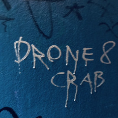 Drone & Crab