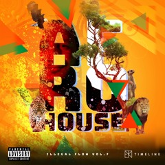 Illegal Flow Vol. 7 (Afrohouse)