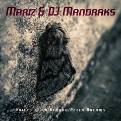 TH359 Mariz/DJ Mandraks After Dreams (Original Mix)