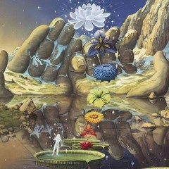 Thankyouwill - Celestial Loop Kit Preview