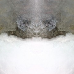 Jacques Beloeil — Forthcoming —  By Extension (Stellage 013)