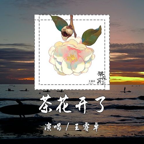 王睿卓 - 茶花开了 [他乡路长又长 去又往 望呀望 你可记得我年少模样] 【動態歌詞/pīn yīn gē cí】
