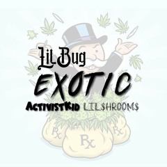 Bugg - Exotic ft Activistkid, Lil$hroom$