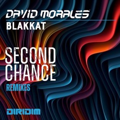 Premiere: David Morales, Blakkat - Second Chance (David Morales Zone Vocal Remix) [DIRIDIM]