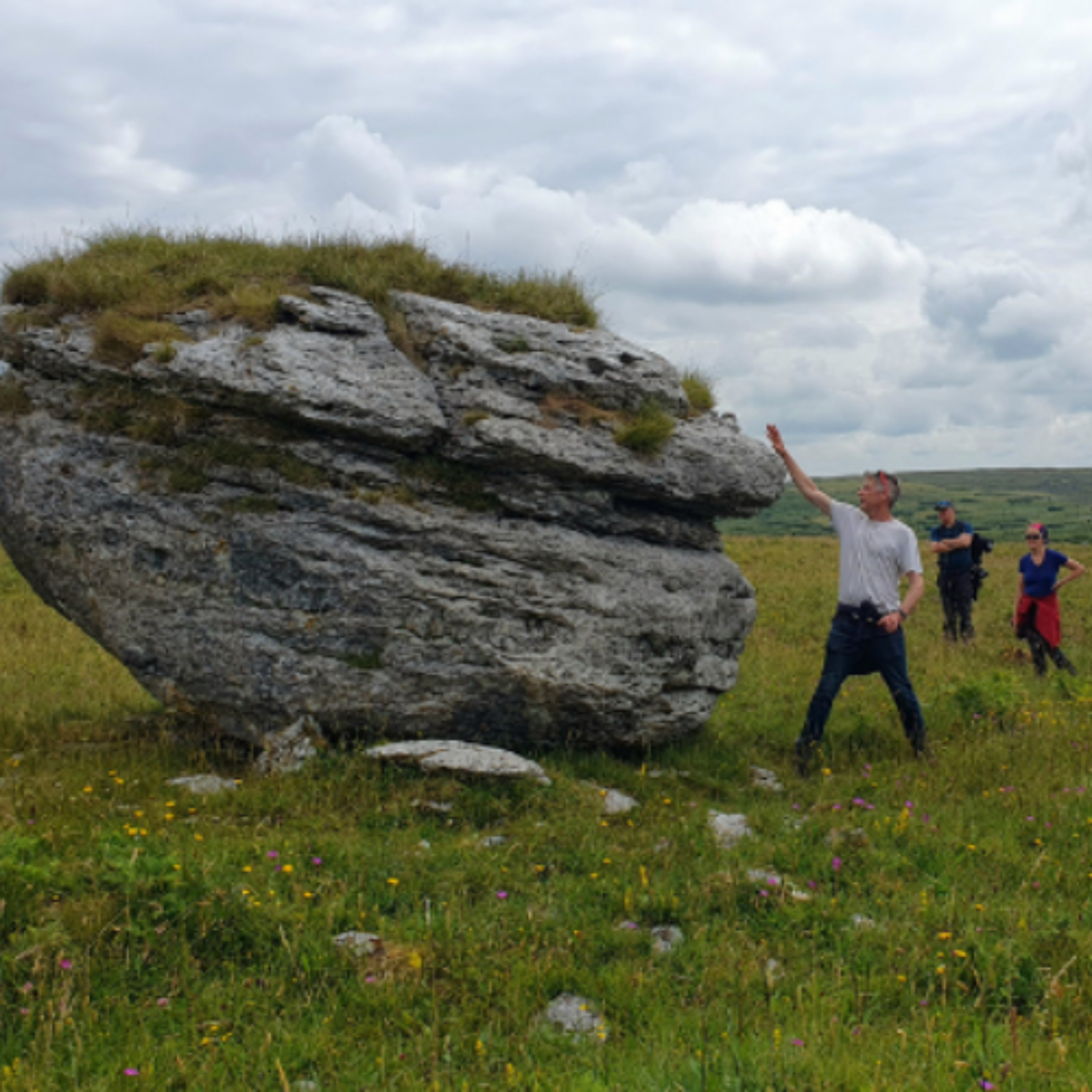 Burren In Bloom Returns To Clare For 2026