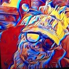 SHAPESHIFTIN