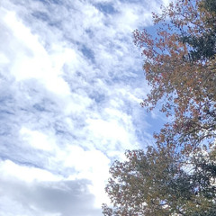 hold up the sky