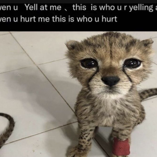what am i supposed to be? ourbluewounds