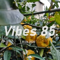 Vibes 85