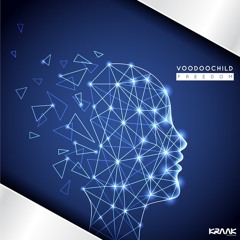 1. Voodoo Child - Transient Access