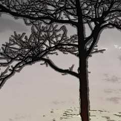 Sometimes, it happens naturally, but not always.