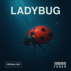 Ladybug