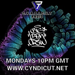 CYNDICUT RADIO 015 - DUBPLATES AND BASS WEIGHT