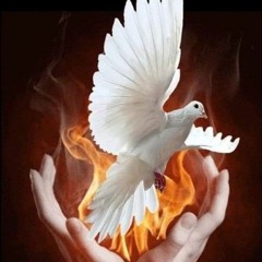 ختان القلب بالروح - سلسلة الروح القدس