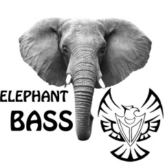 Elephant Bass