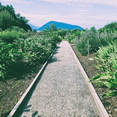 To The Quiet Place