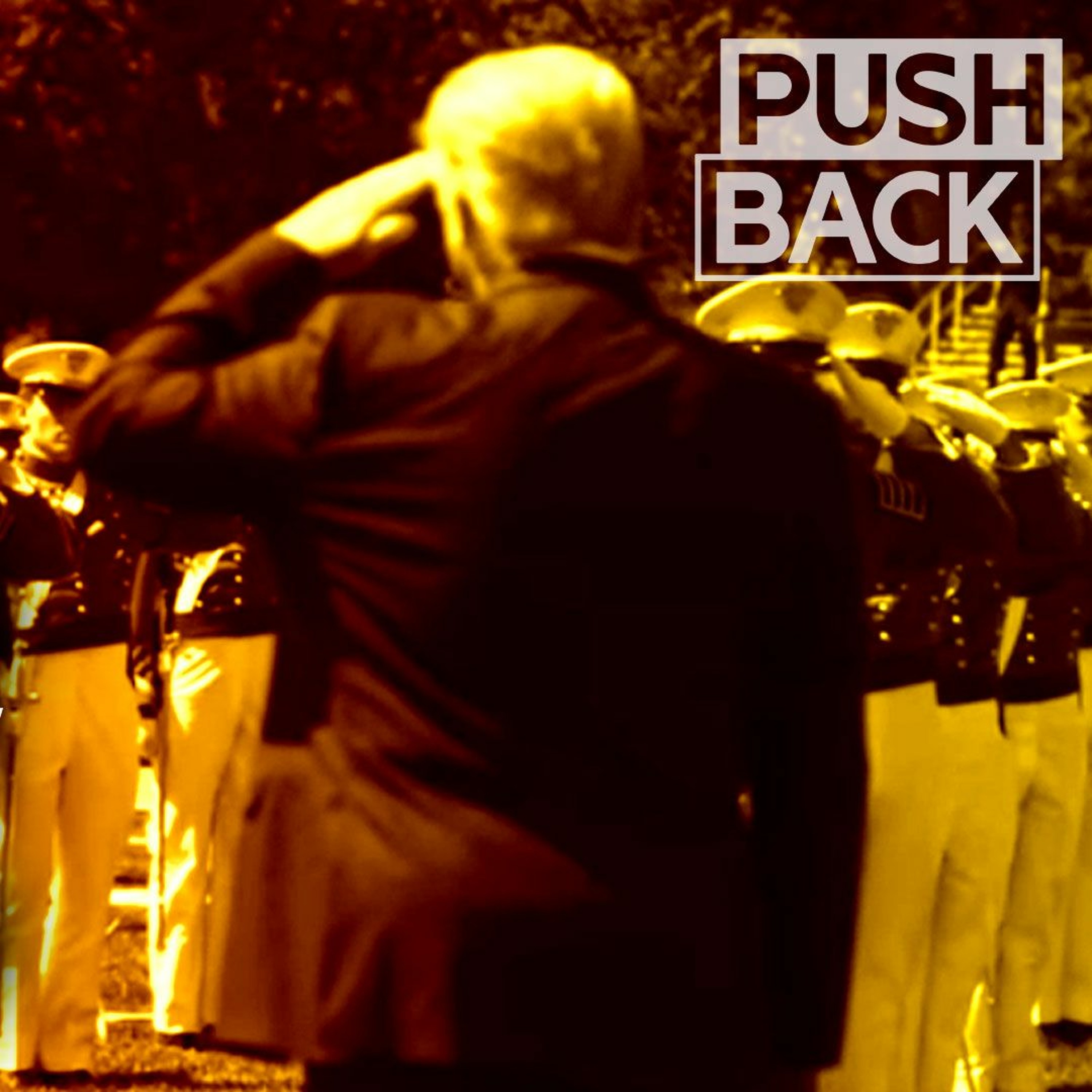 Pushback with Aaron Mate