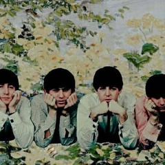 The Beatles---When I'm 64 Cover
