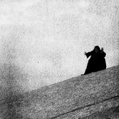 MANSON MANE - LUNATIC