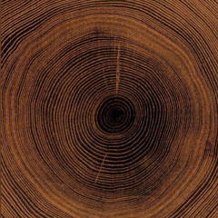 Morning Breath Meditation for Grounding and Peace