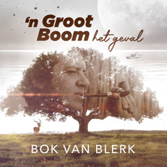 'n Groot Boom het geval