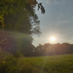 B o B & Bruno Mars- Nothin' On You- piano